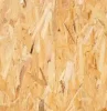 H2 Treated OSB Bracing