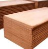 Container Plywood Flooring Square Edge - Hardwood