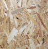 OSB