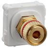 Mech banana red audio connector wht CLI30BCRMWE