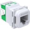 Rj45 jack cat5e utp 40m translucent CLI40RJ45SMA5CTN