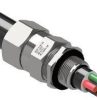 Gland swa cw m50 cable 42.5-52.5mm ip66 CCG051205