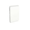 Switch blank plate vert/horiz white CLI3040VW