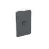 Skin switch v/h 1g rocker anthracite CLI3041CAN