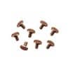 Screw mechanism holding CLI31JSCREW-1