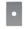 Plate cover 1 gang brushed aluminium CLIC2031CBA