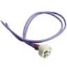 Crompton 13733 Lamp Holder