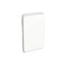 Clipsal Iconic Skin Switch Blank Plate Cover, Horizontal/Vertical Mount, Vivid White, 3040C-VW