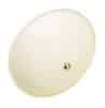 Clipsal OYWHT Oyster Fan Light, 242 mm dia x 80 mm D, White, With (2) E27 Globe Holders