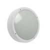 Vega IP65 LED Bulkhead Flush Finish Cool