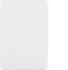 Allure blank plate - horiz HAGWBHSPB