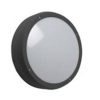 Vega IP65 LED Bulkhead Flush Finish Cool