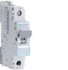 Mcb 10ka 1 pole 40a d curve HAGNDN140A