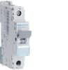 Mcb 10ka 1 pole 63a d curve HAGNDN163A