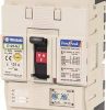 Mccb tembreak2 25ka 100a 3p NHPE125NJ3100