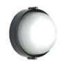Pierlite CB2746870 CARLTON COLOUR SELECT LED BUNK CARLTON COLOUR SELECT LED BUNKER