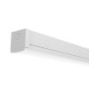 Pierlite ECOBAT202ECS Eco Led Colour Select Batten 20w 600mm N