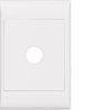 Plate large plate switch no mech 1g HAGWBSP1
