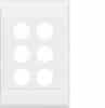 Plate large plate switch no mechs 6g HAGWBSP6