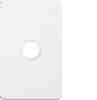 1g switch plate cover no mech HAGWBSSP1