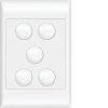 Switch large plate switch vertical 5g HAGWBSV5