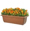 HGD 50cm Outdoor Mixed Rose Balcony Planter