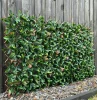 HGD 180cm x 90cm Red Photinia Bamboo Artificial Expanding Hedge Trellis