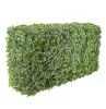 50x100x25cm Artificial Hedge Wall/Cube - Pittosporum