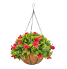 HGD 33cm Outdoor Pink Bougainvillea Hanging basket