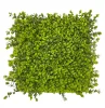 HGD 50x50cm Winter Creeper Tile