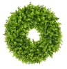 HGD 52cm Outdoor Eucalyptus Wreath