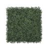 50x50cm Artificial Hedge Tile English Box