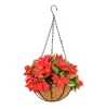 HGD 33cm Outdoor Red Poinsettia Hanging basket