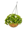 HGD 33cm Outdoor White Sakura Hanging basket