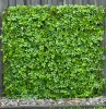HGD 180cm X 90cm Barberry Trellis - Lt Green