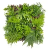 HGD 50x50cm Tropical Garden Tile