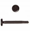Wafer Head Screw 10 x 30mm